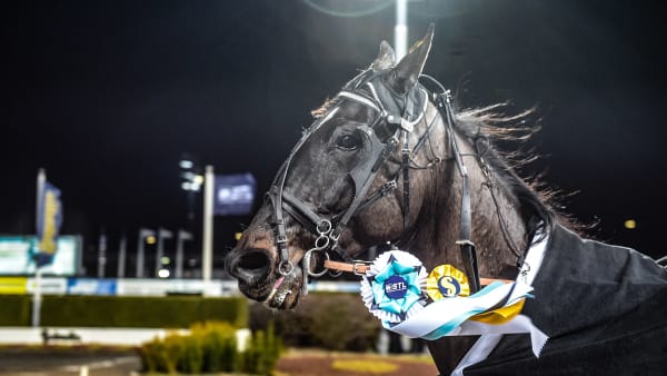 Foto: LARS JAKOBSSON / TR BILD