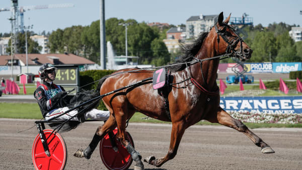 Foto: LENA EMMOTH / TR BILD