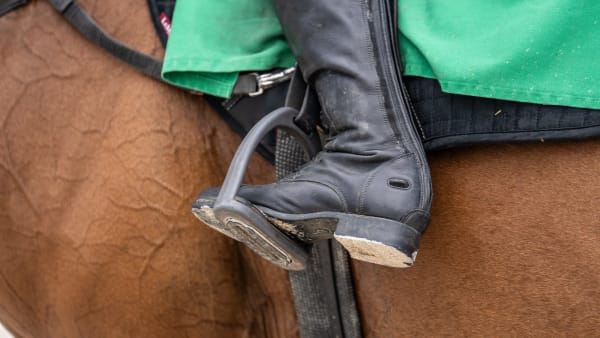 Foto: THOMAS BLOMQVIST / TR BILD