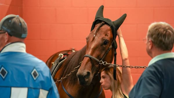 Foto: THOMAS BLOMQVIST / TR BILD