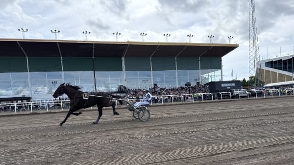 Foto: Rickard Hansson/TR BILD