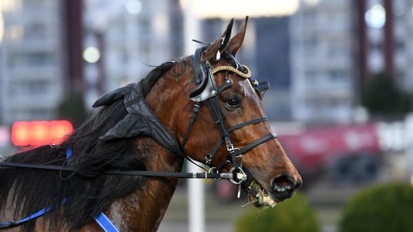 Foto: MALIN ALBINSSON / TR BILD