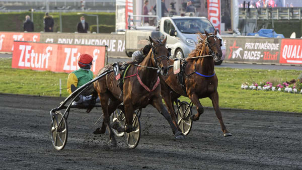 Foto: Jean-Luc Lamaère | Le Trot