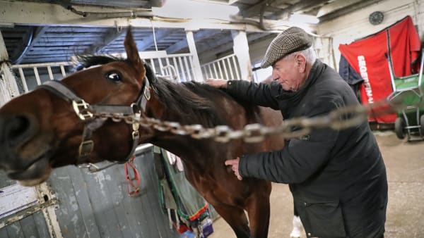 Foto: MARIA HOLMÉN/TR BILD