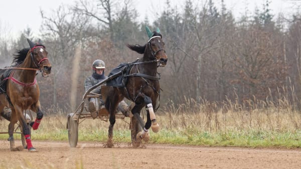 Foto: JEAN-LUC LAMAÈRE/TR BILD