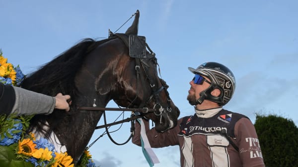 Foto: LARS JAKOBSSON / TR BILD