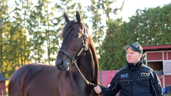 Foto: LARS JAKOBSSON / TR BILD
