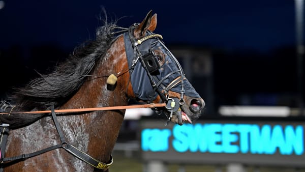 Foto: MALIN ALBINSSON / TR BILD