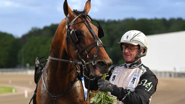 Foto: MALIN ALBINSSON / TR BILD