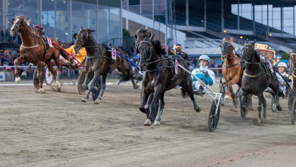 Foto: MIKAEL ROSENQUIST / TR BILD
