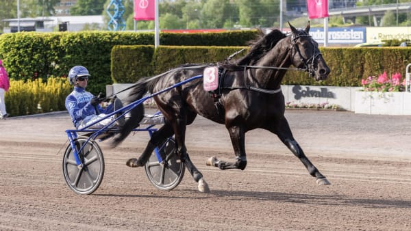 Foto: LENA EMMOTH / TR BILD