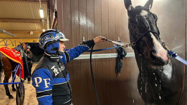 Foto: Richard Hjellström/TR Bild.