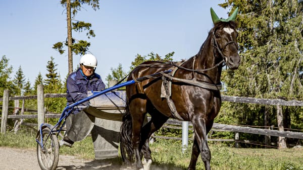 Foto: SVANTHE HARSTRÖM