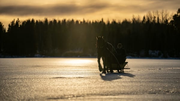 Foto: THOMAS BLOMQVIST / TR BILD