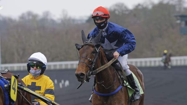 Foto: JEAN-LUC LAMAÈRE/LE TROT