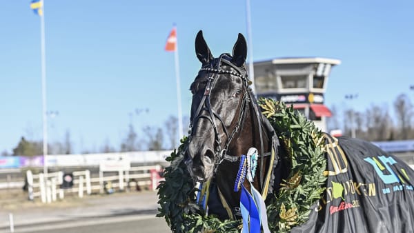 Foto: JENNY REHNMAN / TR BILD