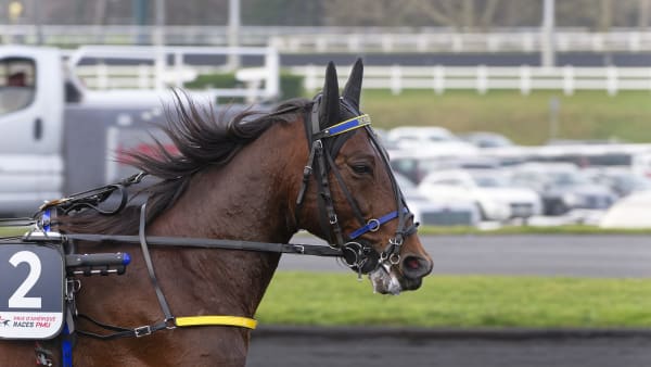 Foto: JEAN-LUC LAMAÈRE/TR BILD