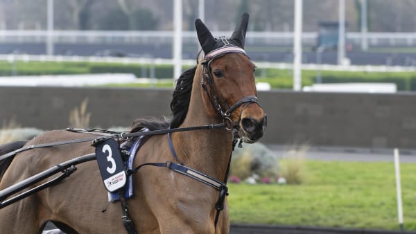 Foto: JEAN-LUC LAMAÈRE/TR BILD