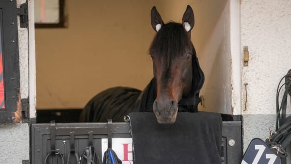 Foto: THOMAS BLOMQVIST / TR BILD