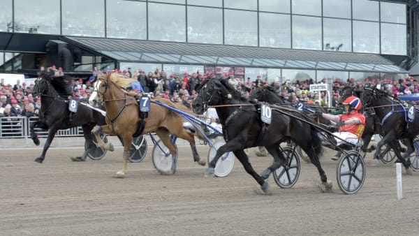 Foto: LARS JAKOBSSON / TR BILD