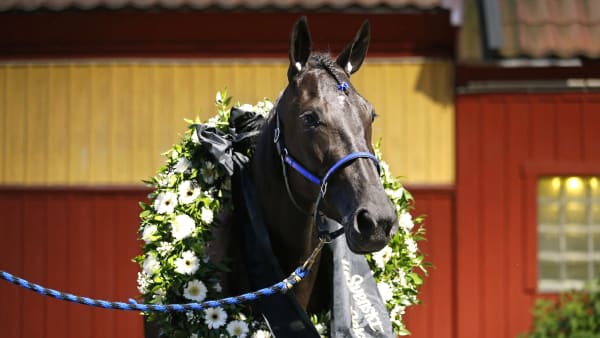 Foto: MARIA HOLMÉN / TR BILD