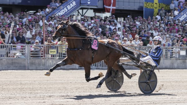 Foto: LENA EMMOTH / TR BILD