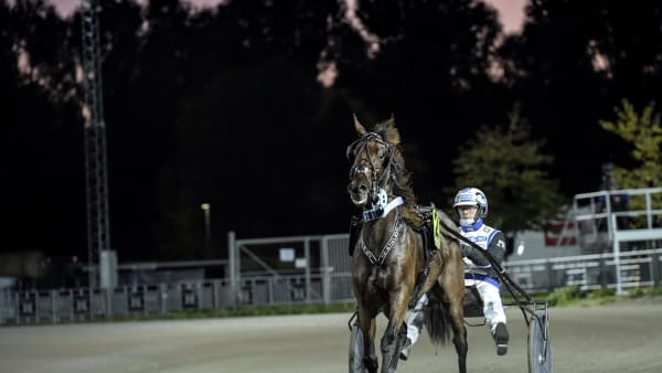 Foto: LARS JAKOBSSON / TR BILD