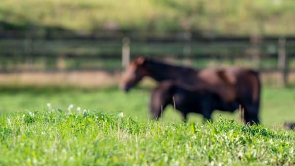 Foto: THOMAS BLOMQVIST / TR BILD