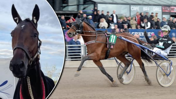 Foto: SVANTEBATH.SE/TR BILD