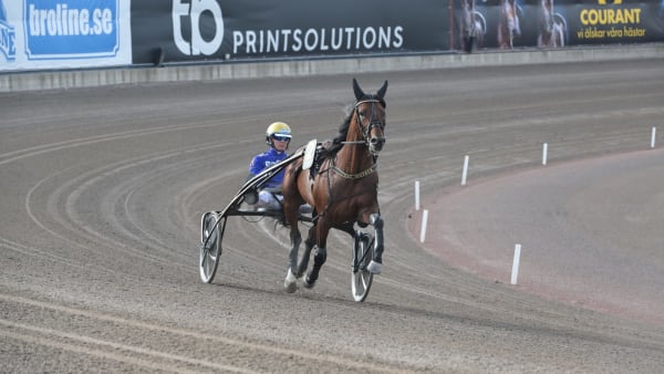 Foto: LARS JAKOBSSON/TR BILD
