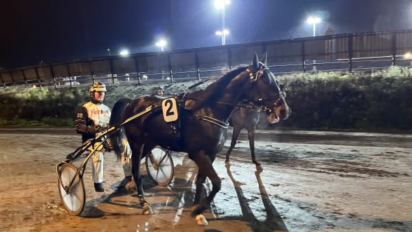 Foto: MATTIAS HOLMGREN/TR BILD