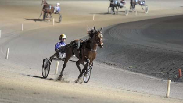 Foto: LARS JAKOBSSON / TR BILD