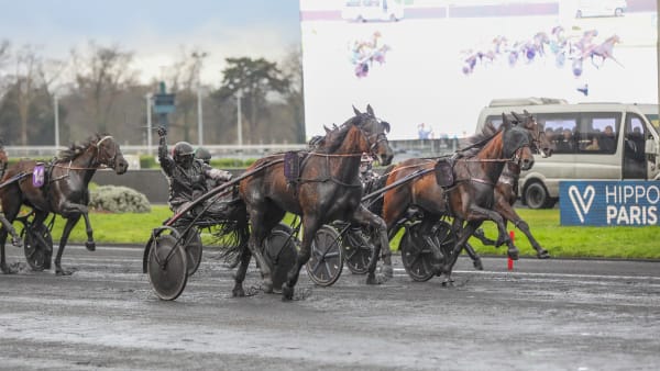 Foto: Bruno Vandevelde/LeTrot