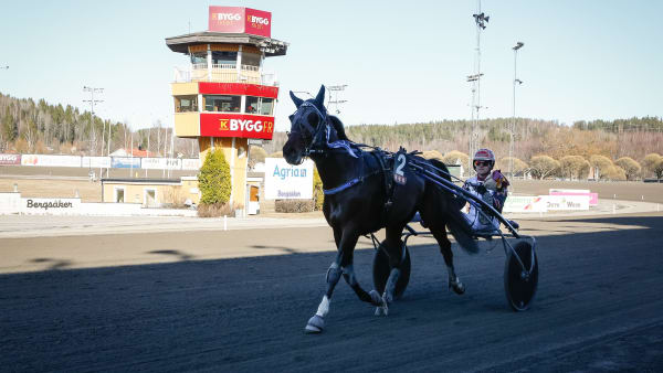 Foto: DAVID SCHREINER / TR BILD