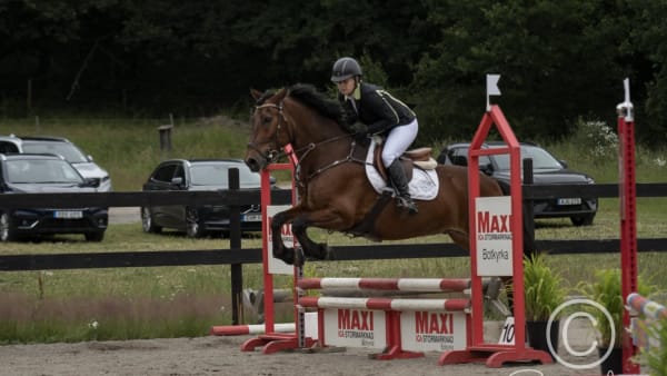 Foto: Stefan Gustavsson