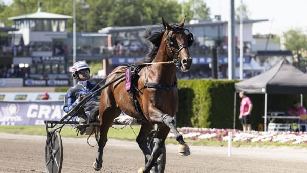 Foto: LENA EMMOTH / TR BILD