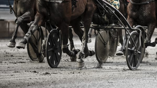 Foto: LENA EMMOTH / TR BILD