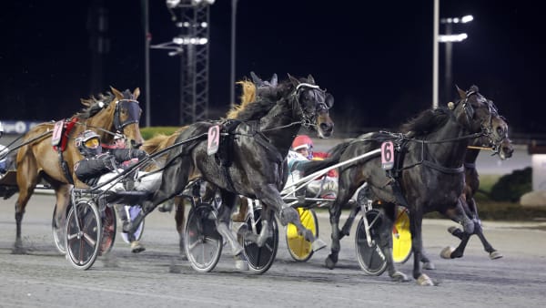Foto: Roger Svalsrød/Hesteguiden.com