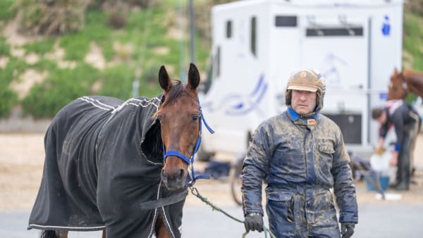 Foto: THOMAS BLOMQVIST / TR BILD