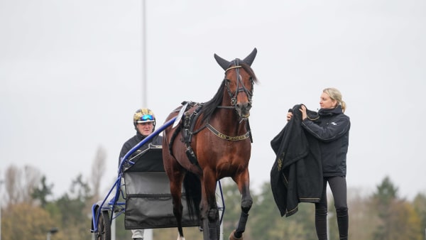 Foto: THOMAS BLOMQVIST / TR BILD