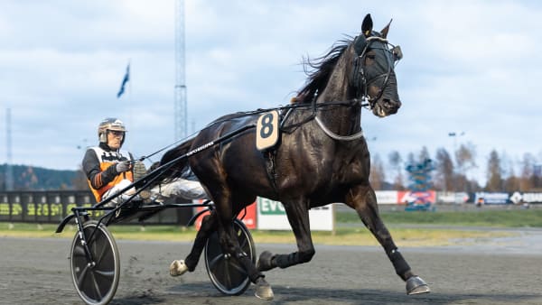 Foto: LENA EMMOTH / TR BILD