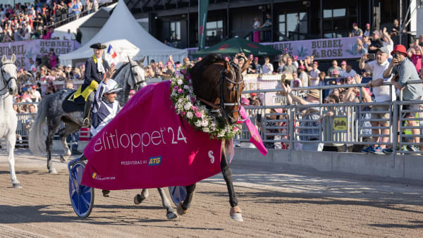 Foto: LENA EMMOTH / TR BILD