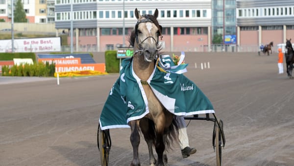 Foto: LARS JAKOBSSON/TR BILD