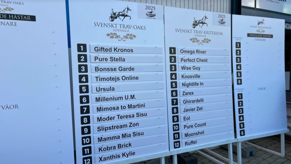 Foto: Mattias Holmgren / TR Media