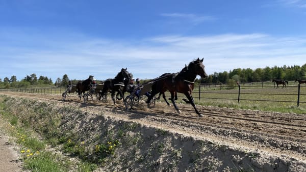 Foto: Jonas Möller/TR BILD