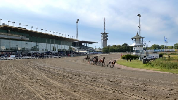 Foto: LARS JAKOBSSON / TR BILD