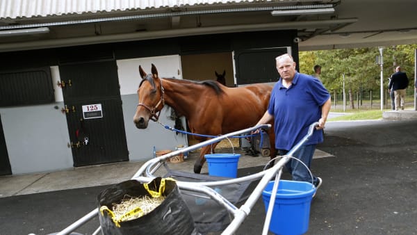 Foto: MARIA HOLMÉN / TR BILD