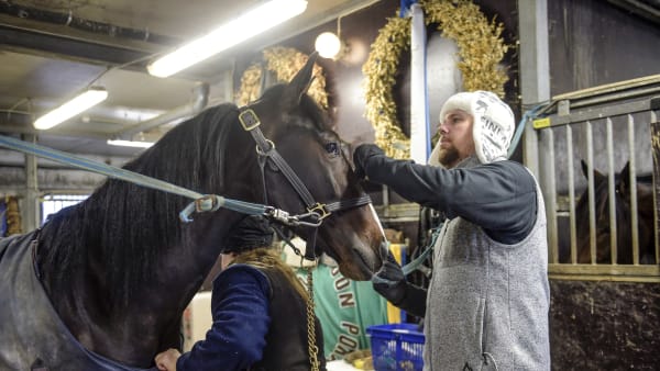 Foto: LARS JAKOBSSON/TR BILD