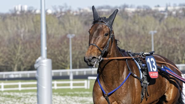 Foto: Foto: Jean-Luc Lamaère-LeTROT