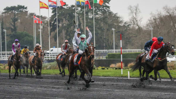 Foto: Bruno Vandevelde/LeTrot